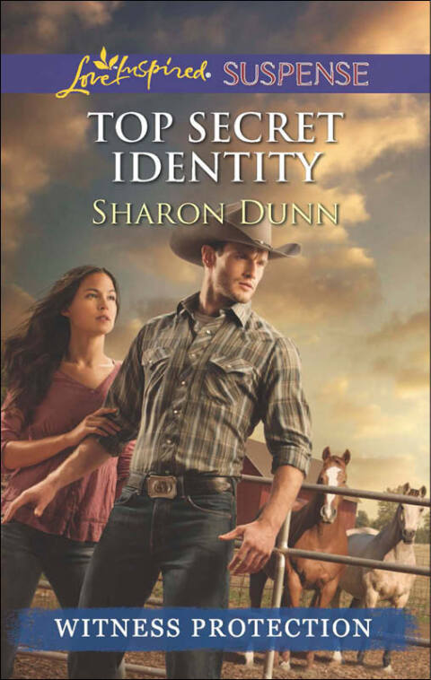 Cover image for book Top Secret Identity