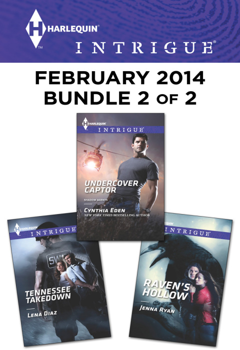 Cover image for book Harlequin Intrigue February 2014 - Bundle 2 of 2