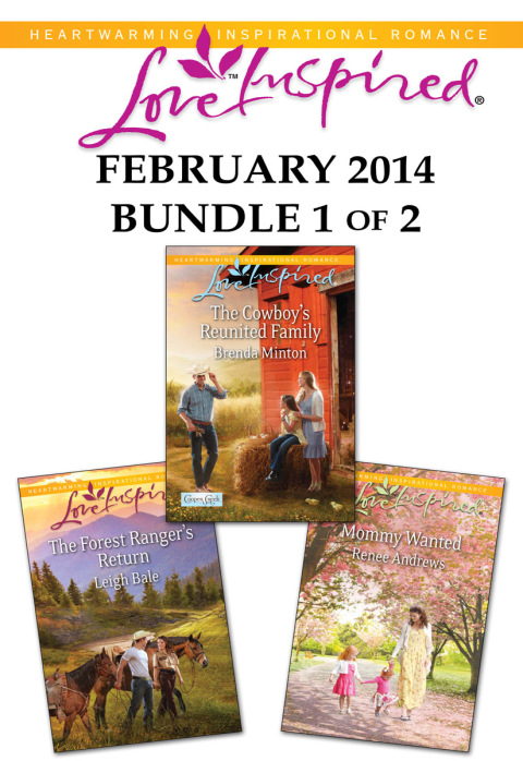 Cover image for book Love Inspired February 2014 - Bundle 1 of 2