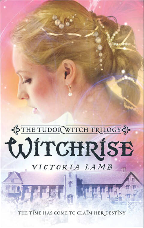 Cover image for book Witchrise
