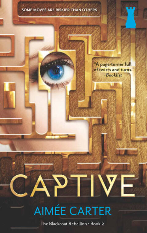 Cover image for book Captive