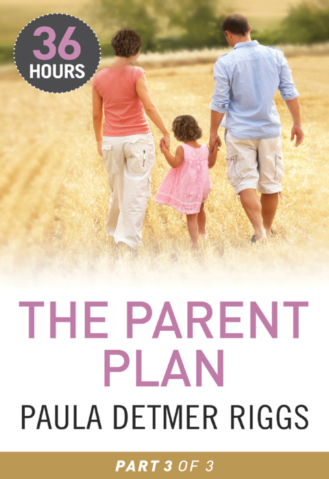 Cover image for book The Parent Plan Part 3