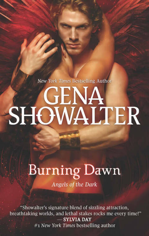 Cover image for book Burning Dawn