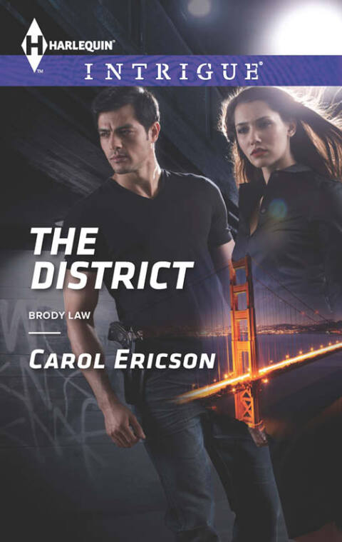 Cover image for book The District