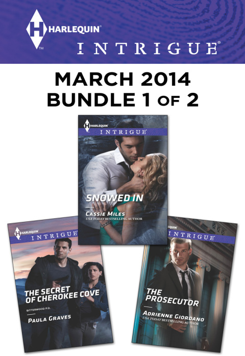 Cover image for book Harlequin Intrigue March 2014 - Bundle 1 of 2