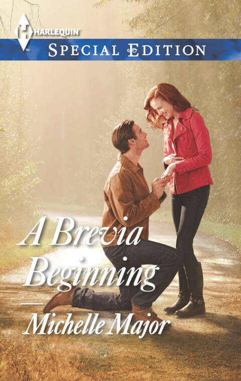 Cover image for book A Brevia Beginning
