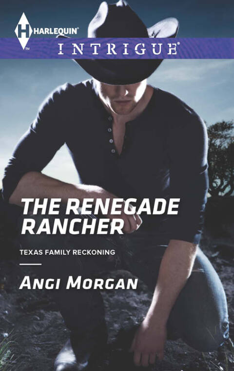 Cover image for book The Renegade Rancher