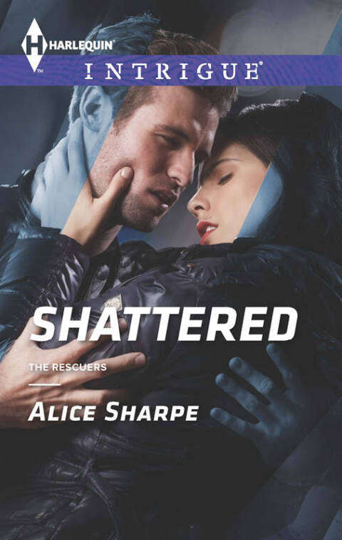 Cover image for book Shattered