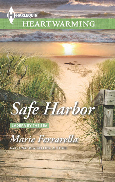 Cover image for book Safe Harbor