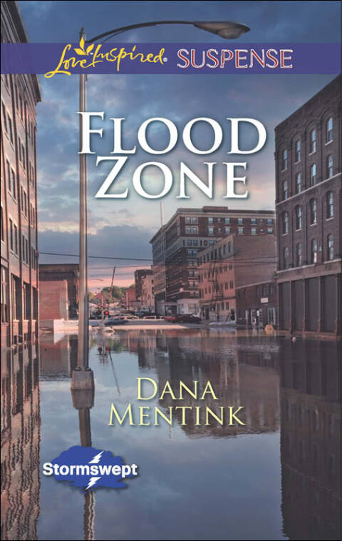 Cover image for book Flood Zone