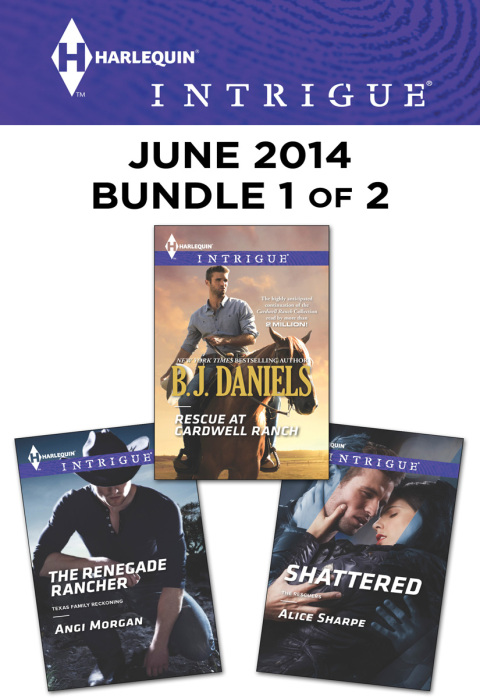 Cover image for book Harlequin Intrigue June 2014 - Bundle 1 of 2
