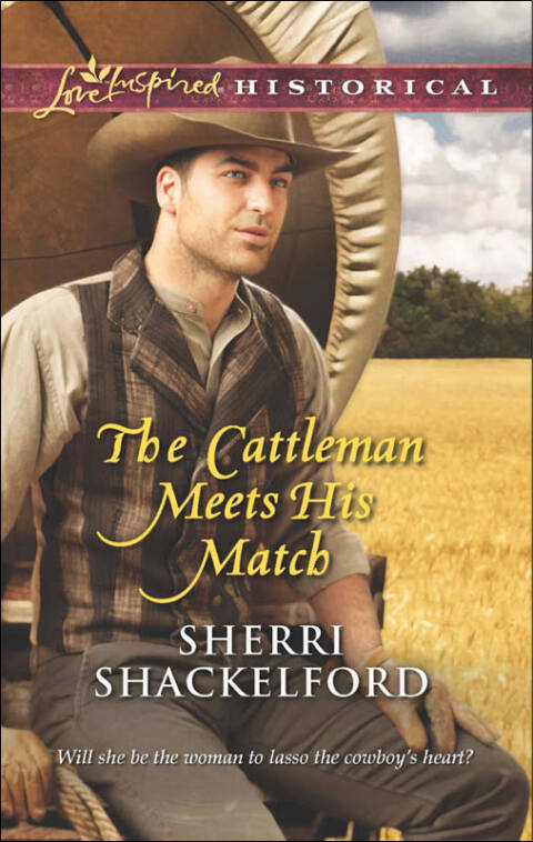 Cover image for book The Cattleman Meets His Match