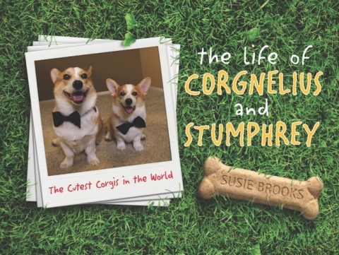 Cover image for book The Life of Corgnelius and Stumphrey