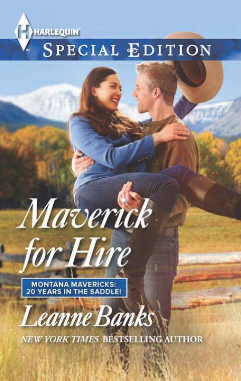Cover image for book Maverick for Hire