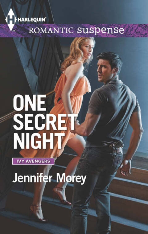 Cover image for book One Secret Night
