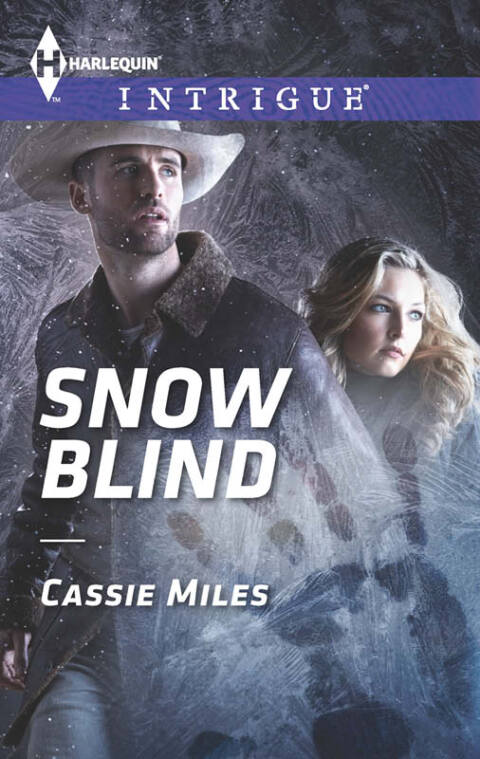 Cover image for book Snow Blind