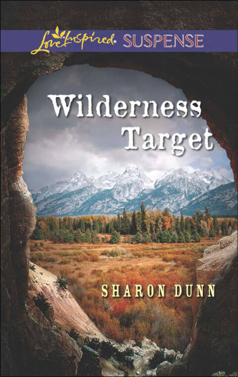 Cover image for book Wilderness Target