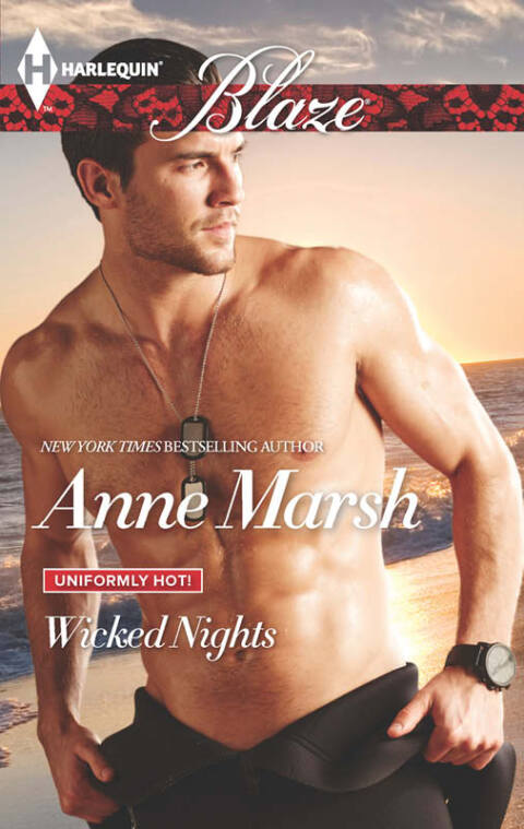 Cover image for book Wicked Nights