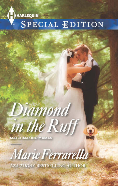 Cover image for book Diamond in the Ruff