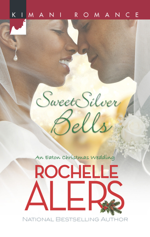 Cover image for book Sweet Silver Bells