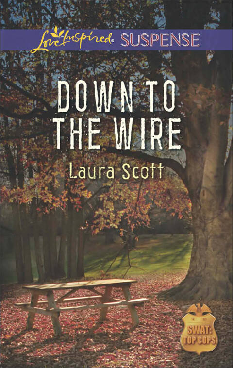Cover image for book Down to the Wire