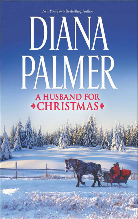 Cover image for book A Husband for Christmas