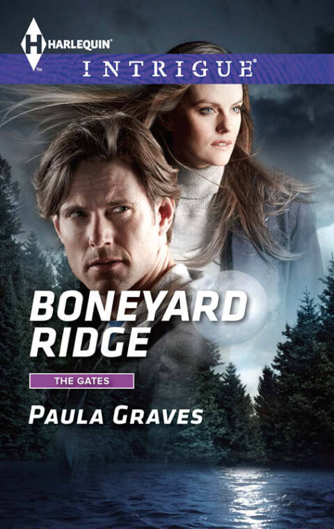 Cover image for book Boneyard Ridge