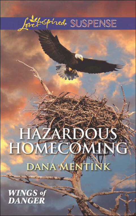 Cover image for book Hazardous Homecoming