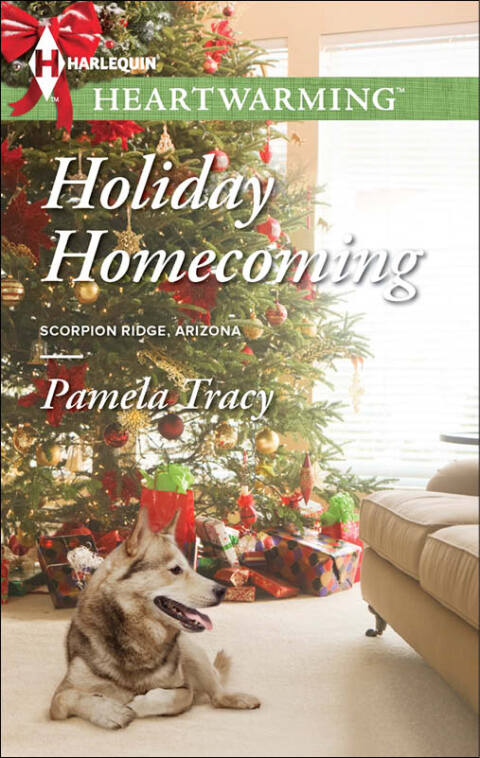 Cover image for book Holiday Homecoming