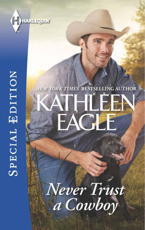 Cover image for book Never Trust a Cowboy