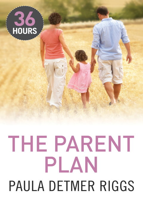 Cover image for book The Parent Plan