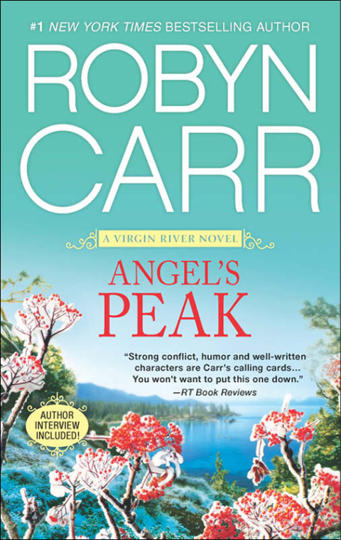 Cover image for book Angel's Peak