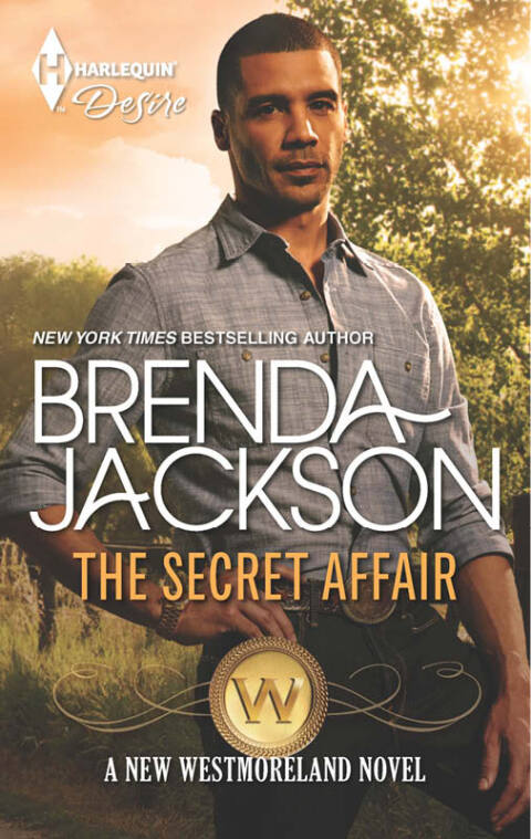 Cover image for book The Secret Affair