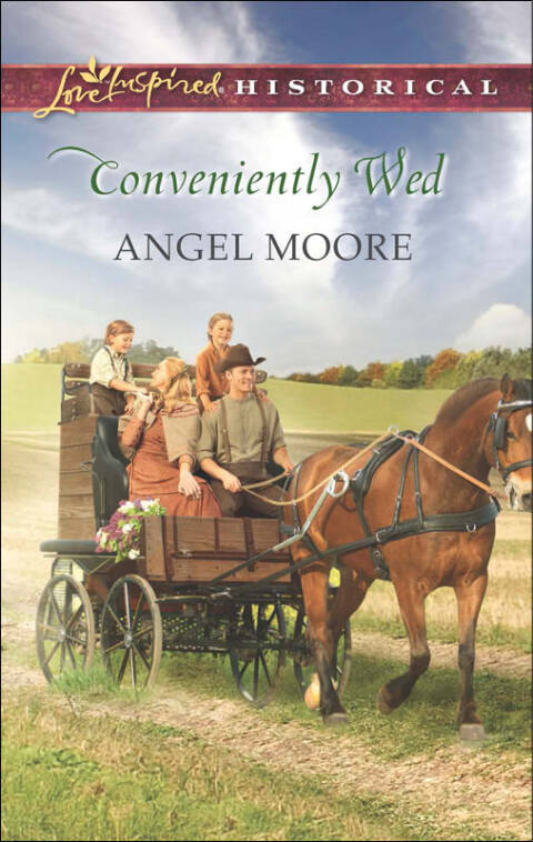 Cover image for book Conveniently Wed