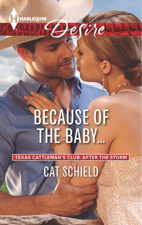 Cover image for book Because of the Baby...