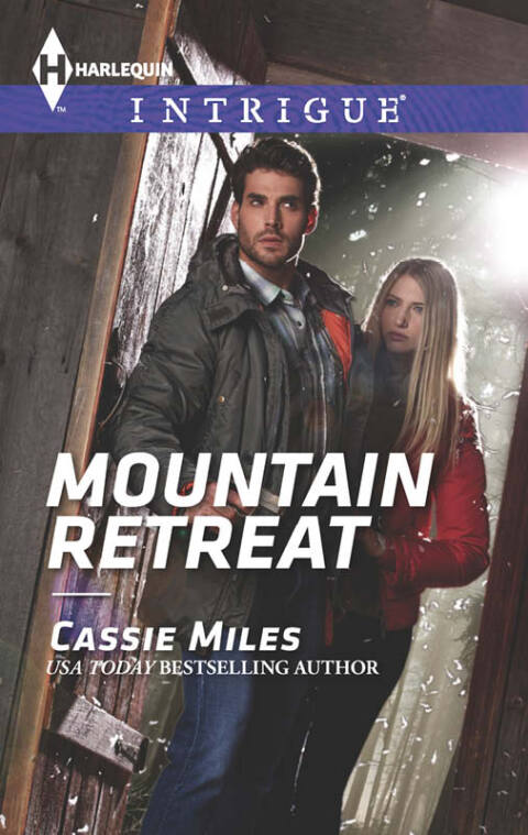 Cover image for book Mountain Retreat