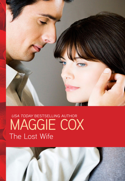 Cover image for book The Lost Wife