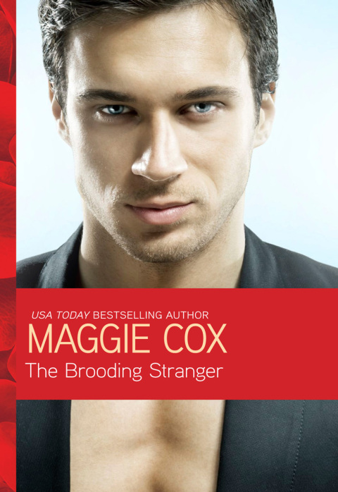 Cover image for book The Brooding Stranger