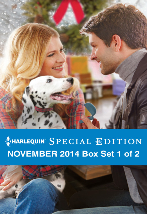 Cover image for book Harlequin Special Edition November 2014 - Box Set 1 of 2
