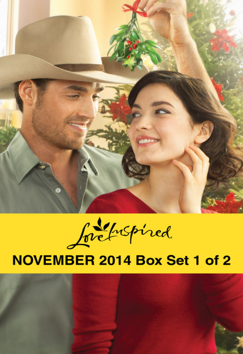 Cover image for book Love Inspired November 2014 - Box Set 1 of 2