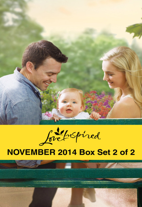 Cover image for book Love Inspired November 2014 - Box Set 2 of 2