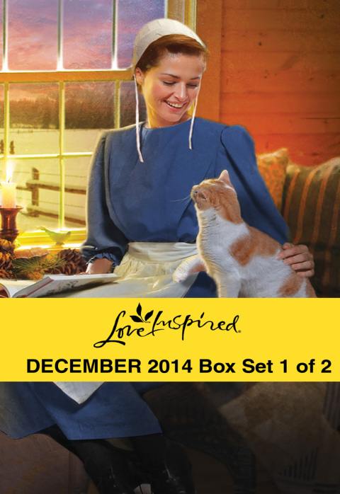 Cover image for book Love Inspired December 2014 - Box Set 1 of 2