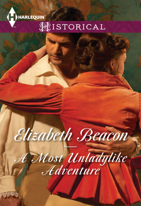 Cover image for book A Most Unladylike Adventure