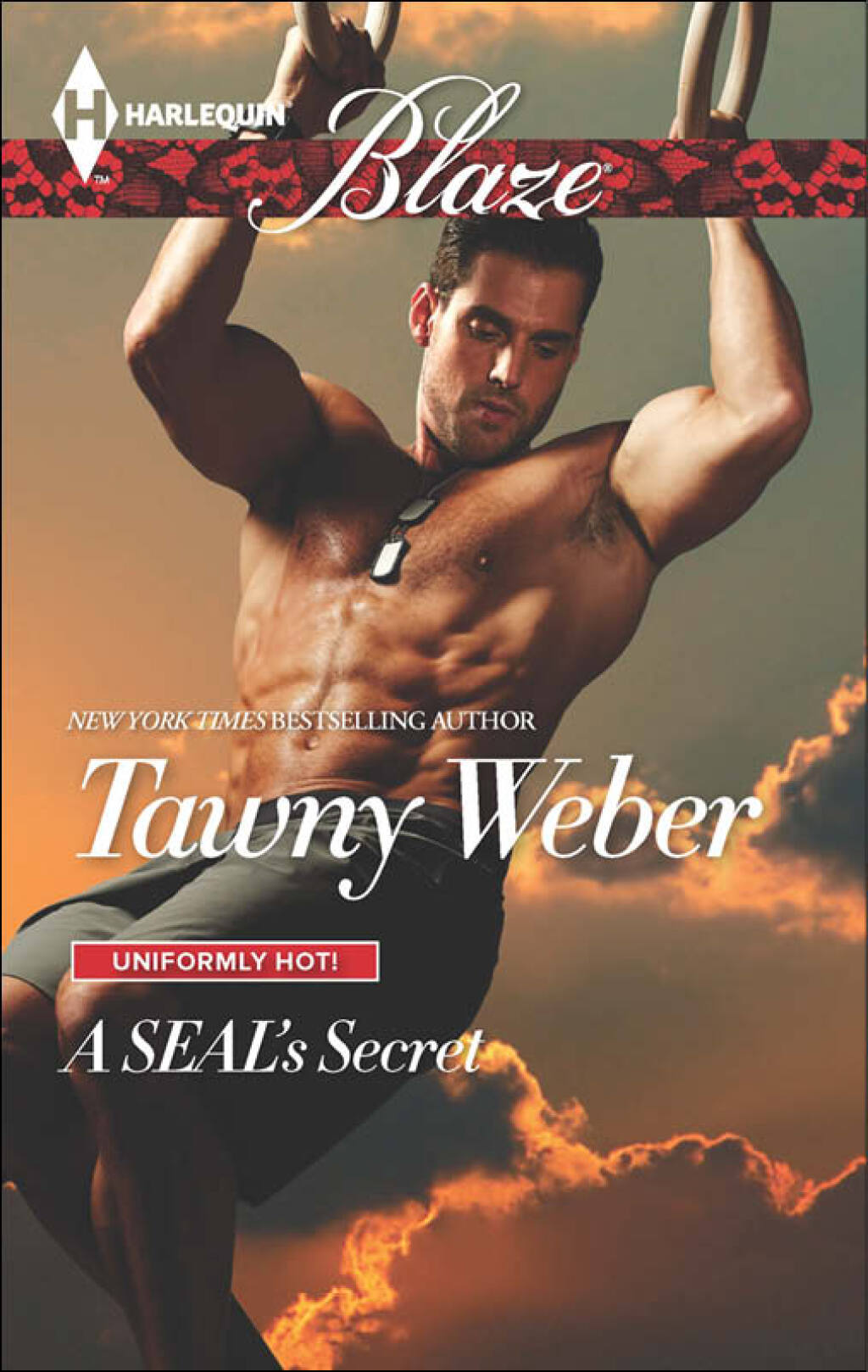 Reflowable A SEAL's Secret; $5.54