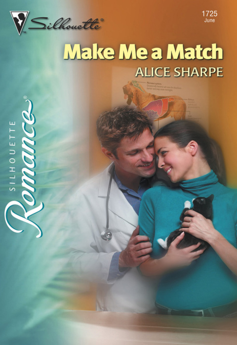 Cover image for book Make Me a Match