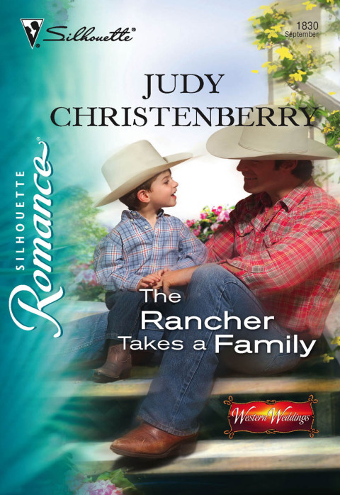 Cover image for book The Rancher Takes a Family