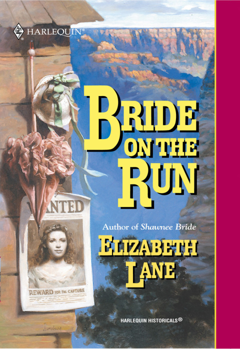 Cover image for book BRIDE ON THE RUN