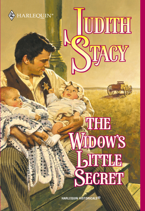 Cover image for book THE WIDOW'S LITTLE SECRET