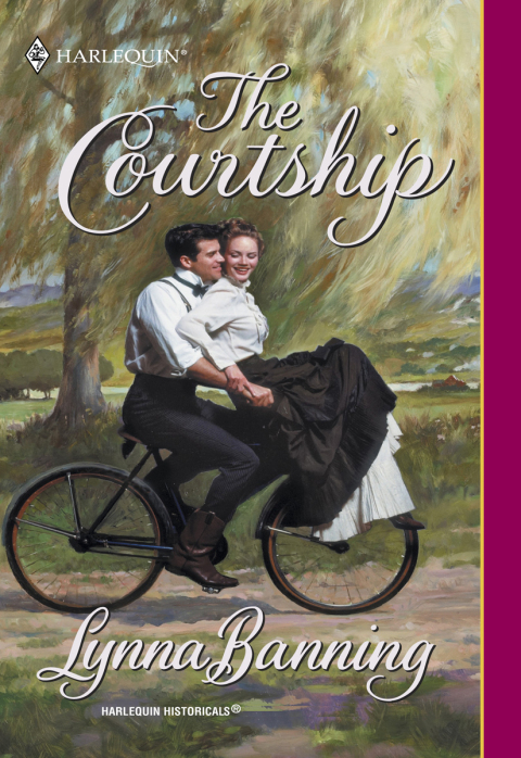 Cover image for book THE COURTSHIP