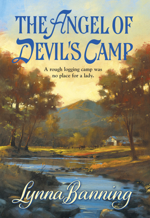 Cover image for book THE ANGEL OF DEVIL'S CAMP